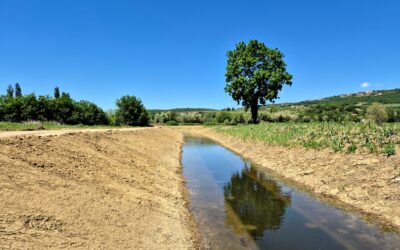 Projekt Ankaranskega obrobnega kanala (AOK)